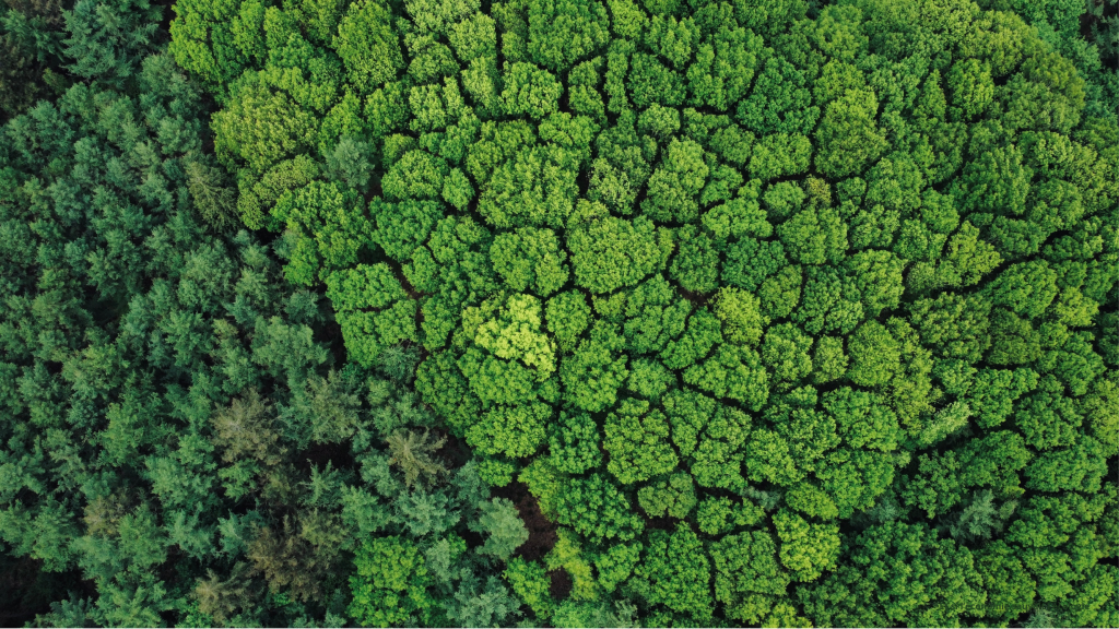 Environnement
